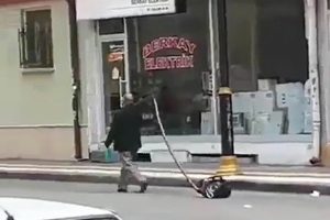 Elektrikli s&uuml;p&uuml;rgeyi sokakta gezdirdi