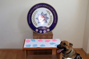 3 ilde uyuşturucu operasyonu: 12 g&ouml;zaltı