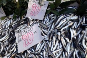 Hamsinin kilosu 20 liraya y&uuml;kseldi!