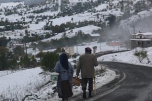 Artvin'de kar yağışı hayatı olumsuz y&ouml;nde etkiledi