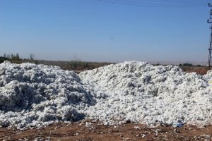 Başsavcılıktan a&ccedil;ıklama: İlk bulgular havasız kaldıkları y&ouml;n&uuml;nde