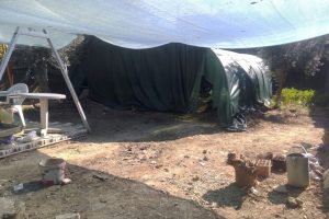 Bursa'da solucan çadırında define kazısı