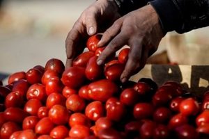 Rusya'dan flaş T&uuml;rkiye a&ccedil;ıklaması!