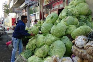 Kışlık patates ve lahanalar tezgahta yerini aldı