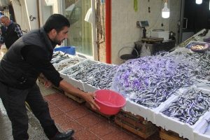 Hamsi avı balık&ccedil;ının y&uuml;z&uuml;n&uuml; g&uuml;ld&uuml;rd&uuml;
