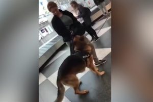 Almanya'ya inen T&uuml;rklere k&ouml;pekle arama şoku!