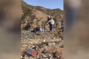 Bing&ouml;l'de kafası teneke kutuya sıkışan ayı kurtarıldı