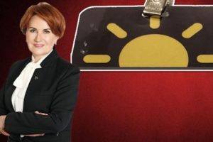 Meral Akşener'in kuracağı partinin logosu belli oldu