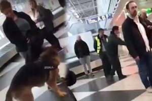 Almanya'dan gelen yolculara 'misliyle karşılık'