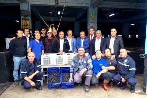 Bursa Mudanya Zeytin Kooperatifi zeytin alımlarına başladı