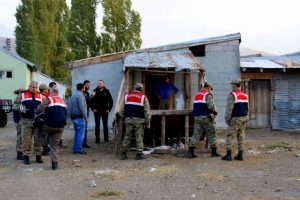 Bomba ş&uuml;phesiyle kovalandı, bagajından buzağı &ccedil;ıktı
