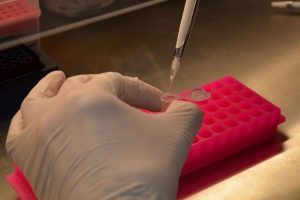 DNA'daki genomlarda değişiklik yapmayı kolaylaştıran enzim keşfedildi