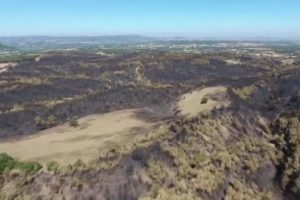 Yanan orman alanları ilk kez drone ile g&ouml;r&uuml;nt&uuml;lendi