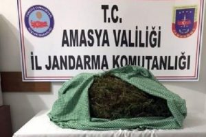 Narkotik k&ouml;peği 'Atak' 9 kilo esrar buldu