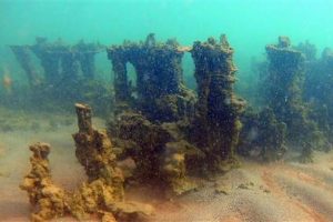 Bitlis'te 10 bin yaşında mikrobiyalitler g&uuml;n y&uuml;z&uuml;ne &ccedil;ıktı