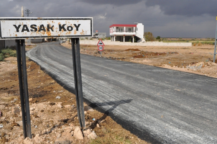 Suriye sınırında 'kuş gribi' alarmı