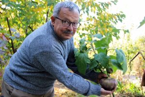 &Ccedil;ocukluğundaki lezzetin peşine d&uuml;şt&uuml;, y&uuml;zlerce tohum &uuml;retti