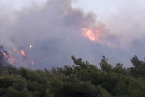 Muğla alevlere teslim