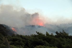 Dat&ccedil;a'da yangın s&ouml;nd&uuml;r&uuml;ld&uuml;: 1 g&ouml;zaltı var