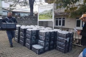 Bursa Orhangazi'de &uuml;reticilere 105 bin &ccedil;ilek fidesi dağıtıldı
