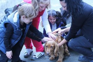 K&ouml;peğe duyulan şefkat, insana duyulandan fazla