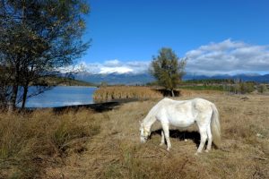 Bursa'da G&ouml;k&ouml;z G&ouml;leti b&uuml;y&uuml;l&uuml;yor