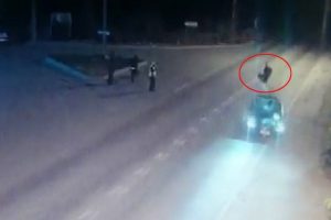 Polis memuru bu kazada şehit oldu