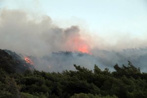 Dat&ccedil;a Neronu! Araz&ouml;z şof&ouml;r&uuml; &ccedil;ıktı