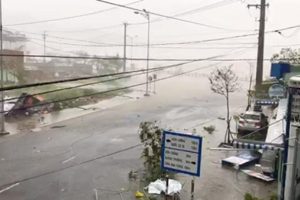 Vietnam'da Damrey tayfunu: 20 &ouml;l&uuml;