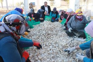 T&uuml;rkiye'den Rusya'ya antibiyotik desteği