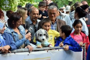 Marmaris'te 'k&ouml;pek g&uuml;zellik yarışması'