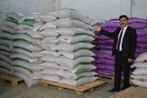 Bursa'da samana alternatif tritikale