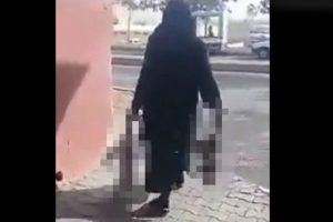 Yaşlı kadın zehirlediği kedileri &ccedil;&ouml;pe attı!