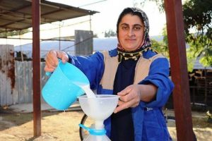 4 bilezikle 1 milyon TL'lik servete ulaştı