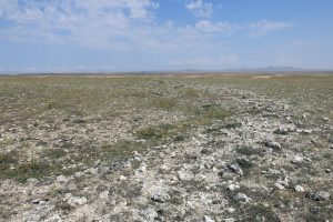Eskişehir'de heyecanlandıran keşif