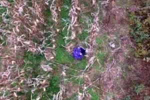 Kaybolan kadın drone'la bulundu