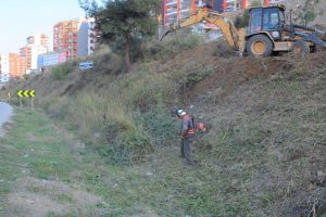 Bursa Gemlik'te sonbahar temizliği