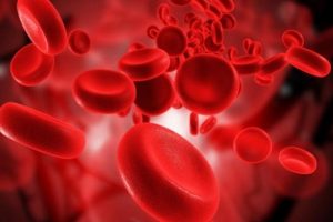 4 kilosu T&uuml;rkiye'nin 1 yıllık ihracatına denk geliyor