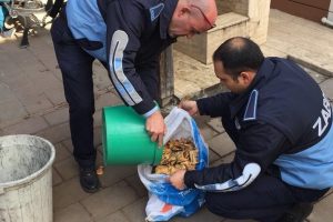 Zabıtadan zehirli mantar uyarısı