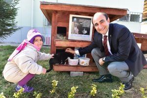 Bursa'da 3 bin 226 hayvana sıcak yuva