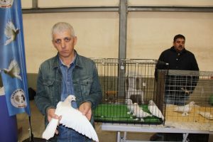 Bu g&uuml;vercinler 100 bin TL: Bunlar i&ccedil;in evlenmedim