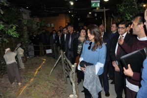 Asyalı b&uuml;y&uuml;kel&ccedil;iler Bursa İneg&ouml;l'de