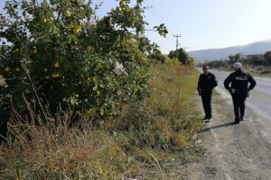 Bursa'da ayvayı yedi, yerine para astı