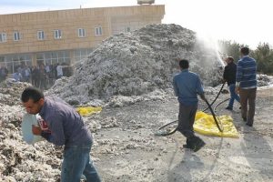 Şanlıurfa'da 105 ton pamuk yandı