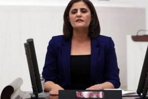 HDP Milletvekili Taşdemir: Kadınlara baktığında sadece üreme makineleri gören yaklaşım kadınlara haksızlıktır