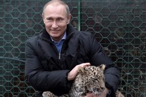Putin'in leoparı Abhazya'da yakalandı