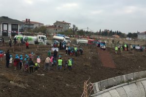 İstanbul'a dev meyve ormanı