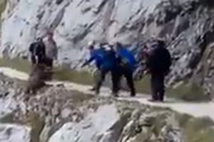 Domuzu u&ccedil;urumdan yuvarladılar