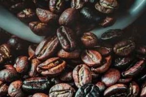 Kahve atıkları yakıt oluyor