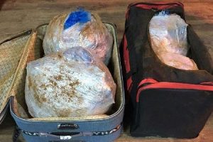 Otob&uuml;ste 17 kilo esrar ele ge&ccedil;ti
